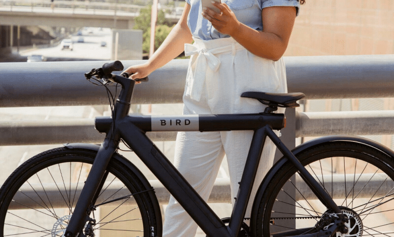 Review Bird Bike A-Frame